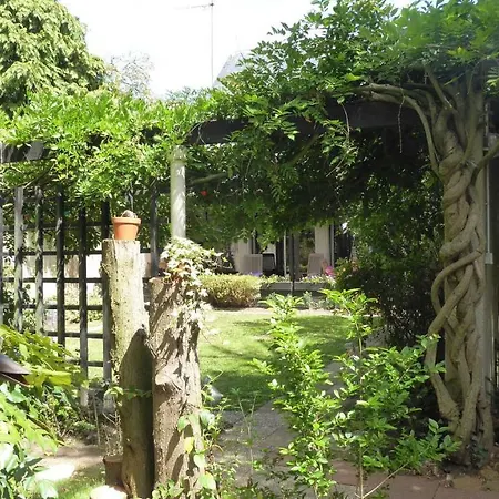 Garden Chantilly